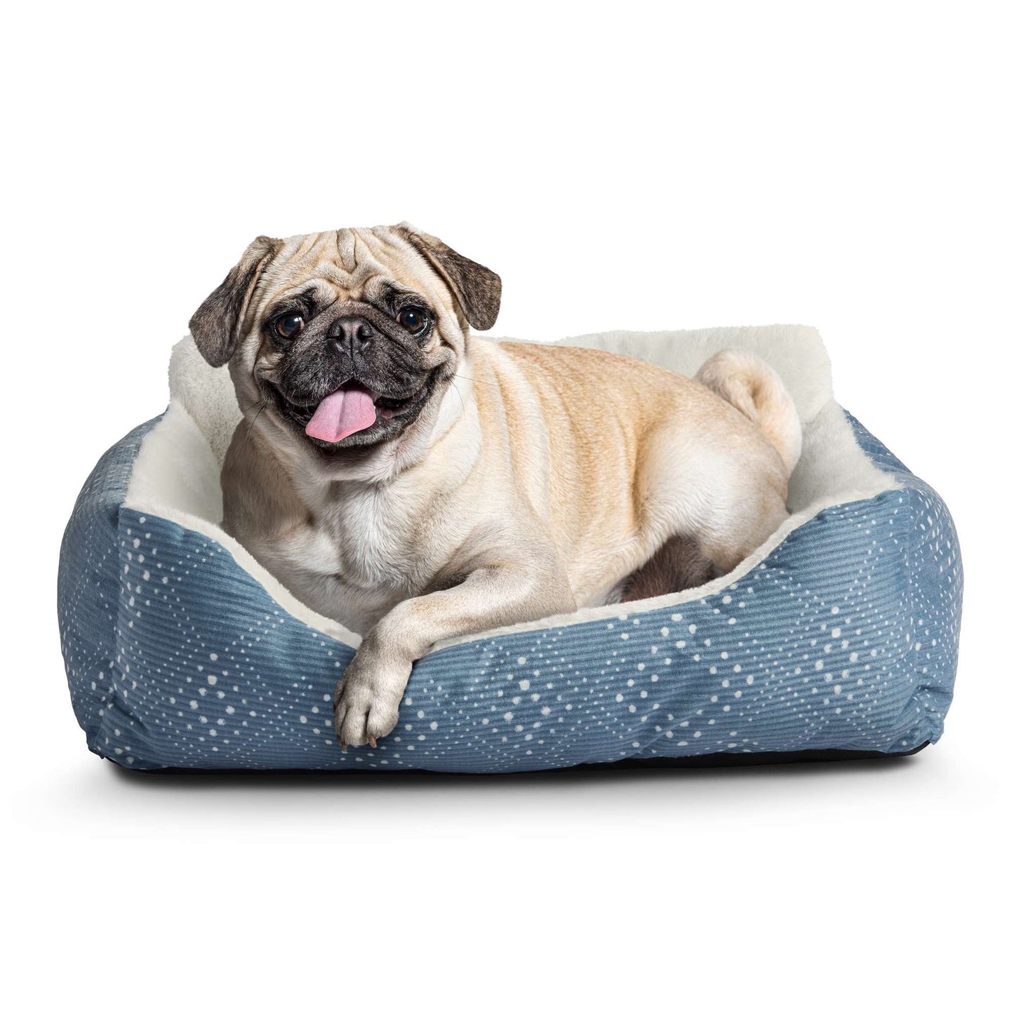 (6 Pack) Lounger Small Dog or Cat Bed, Blue 21" X 17"