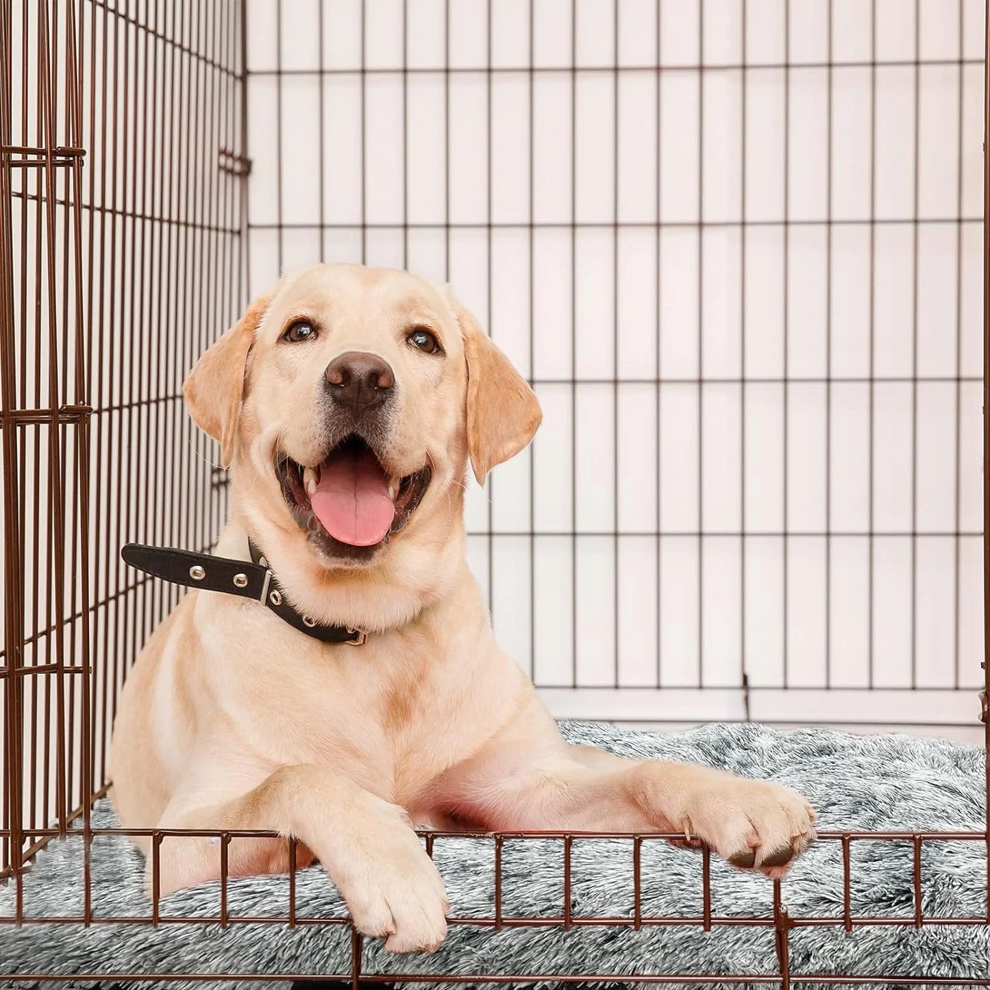 Large Dog Bed Washable Cat Dog Mats Anti-Slip Bottom Beige Large 41''×27'' Pet Beds for Large Dogs