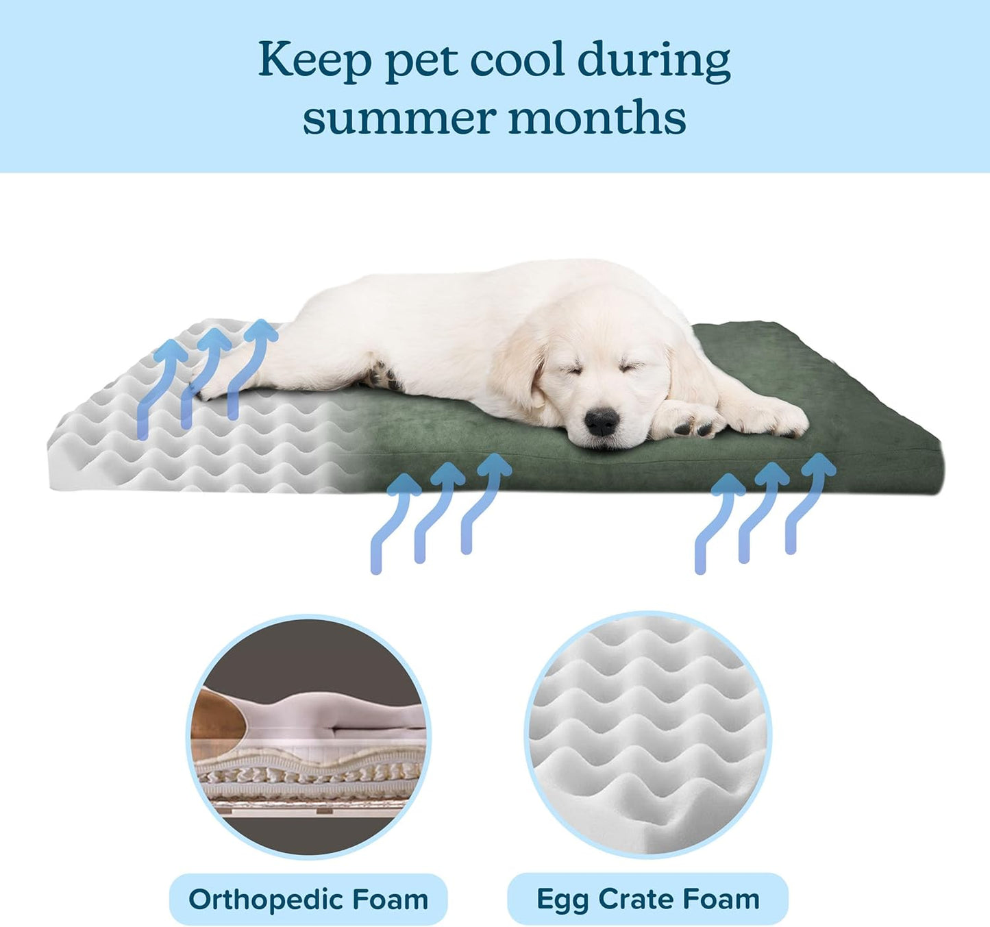 Dog Bed with Removable Cover €“ 44X35 Pet Bed - 3-Inch Egg Crate Style Foam Orthopedic Dog Bed, Microsuede, and Non-Slip Crate Pad (Forest)