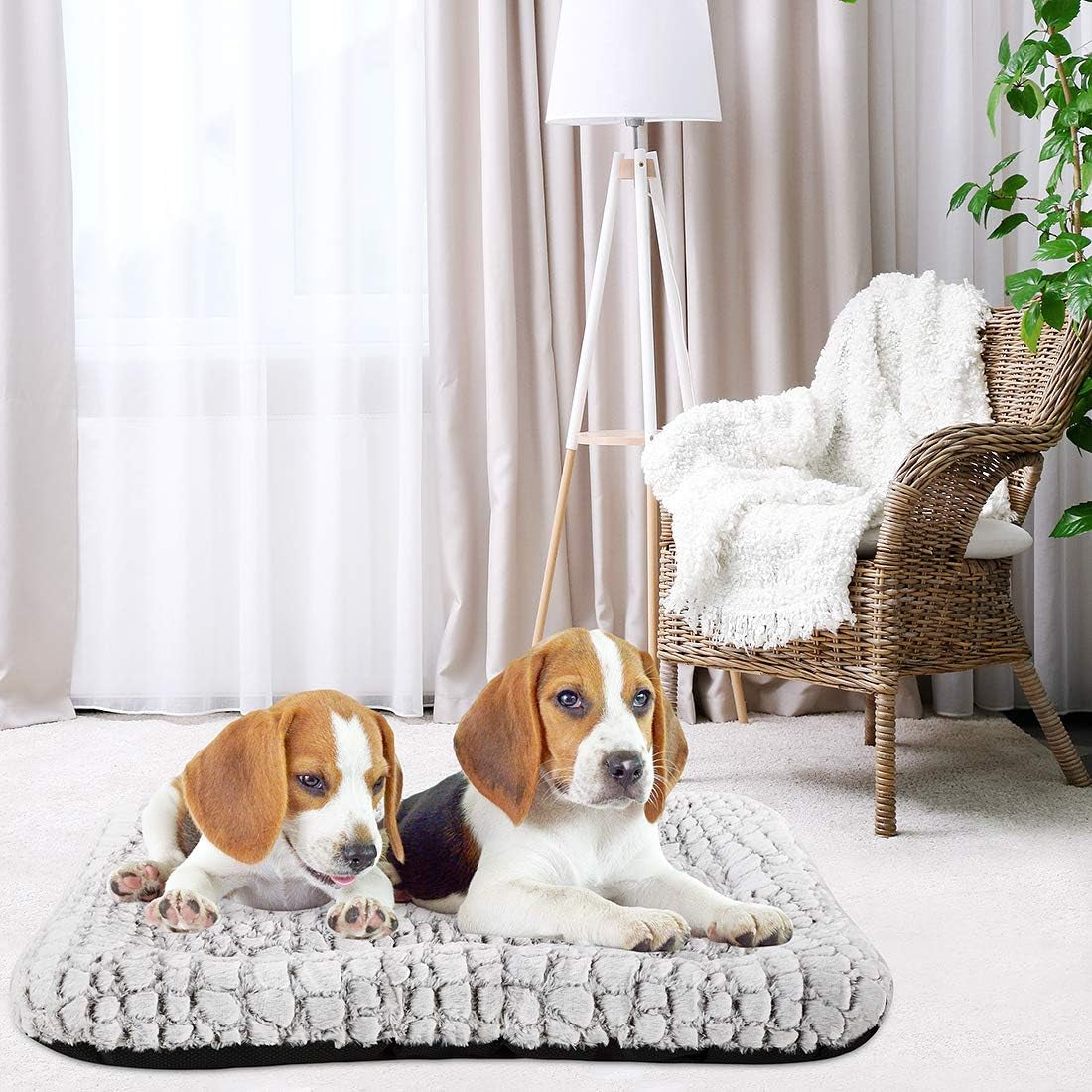 Deluxe Plush Dog Bed Pet Cushion Crate Mat,Washable Pet Bed for Medium Large X-Large Dogs and Dogs Crates(Large,White)