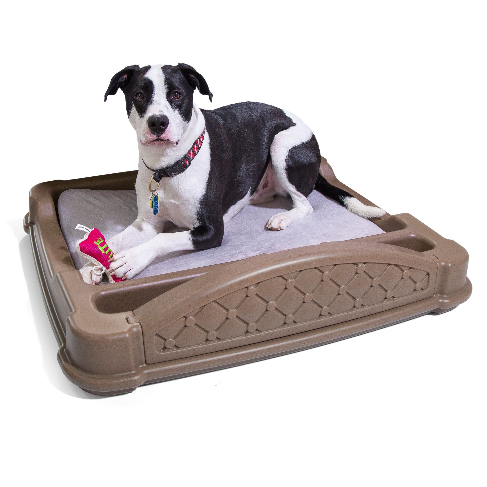 Close 'N' Cozy Hideaway Dog Bed Brown